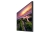1645594534382_b_QB50B_005_Dynamic_Black.jpg