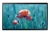 Samsung-Monitor-Profesjonalny-qb24r--t-lh24qbrtbgcxen-serii-QBR-Sklep-Promedio-Front.jpg